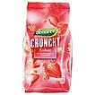 Produktabbildung: dennree  Erdbeer-Crunchy 375 g