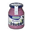 Produktabbildung: Söbbeke Blaubeere Bio Joghurt Mild  500 g