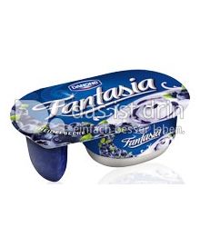 Produktabbildung: Danone Fantasia Heidelbeere 122 g