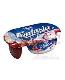 Produktabbildung: Danone Fantasia Kirsche 122 g