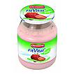 Produktabbildung: FitVital Diät Erdbeere  500 g