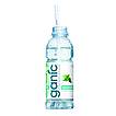 Produktabbildung: ganicwater Spearmint Kiss  0,5 l