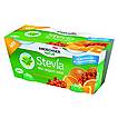 Produktabbildung: Andechser Natur Stevia Bio-Jogurt mild Orange Sanddorn  250 g