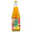 Produktabbildung: dennree Apfel-Mango-Saft  1 l