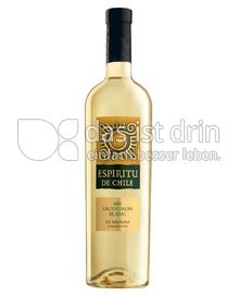 Produktabbildung: ESPIRITU DE CHILE Sauvignon blanc 750 ml