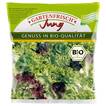 Produktabbildung: Gartenfrisch Jung  Bio Salatmischung 100 g