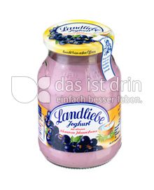 Produktabbildung: Landliebe Joghurt mit  schwarzer Johannisbeere 500 g