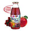 Produktabbildung: Hipp  Bio Saft Rote Traube in Apfel 0,5 l