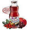 Produktabbildung: Hipp Tee & Frucht  Hagebutten-Tee mit rotem Früchtesaft 0,5 l