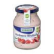 Produktabbildung: Söbbeke  Himbeere-Rhabarber Bio Magermilchjoghurt Mild 500 g