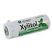 Produktabbildung: miradent  Xylitol Chewing Gum Spearmint 30 g