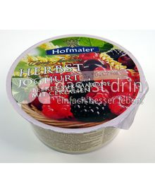 Produktabbildung: Hofmaier Herbst-Joghurt 150 g
